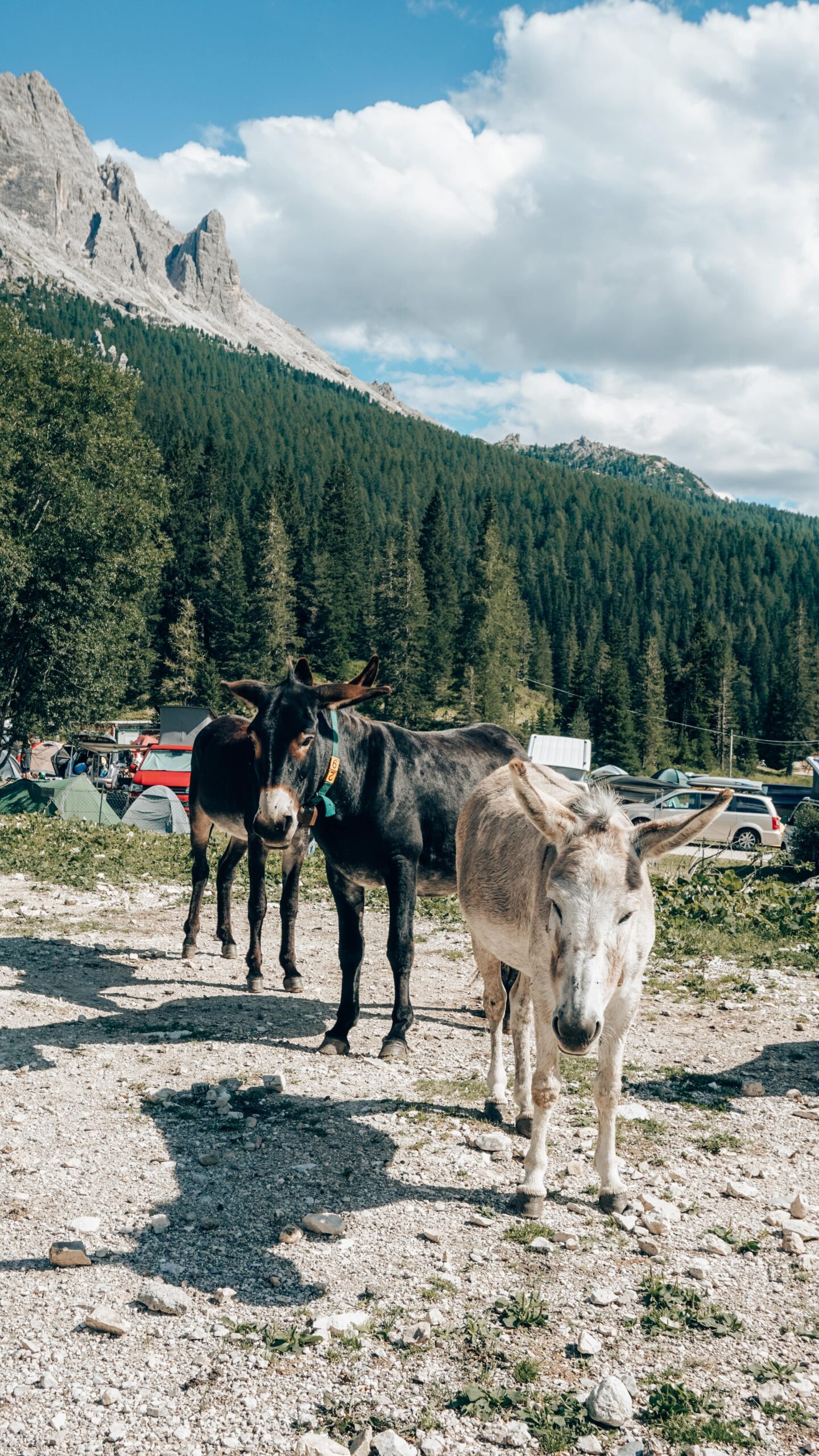 camping Alla Baita
