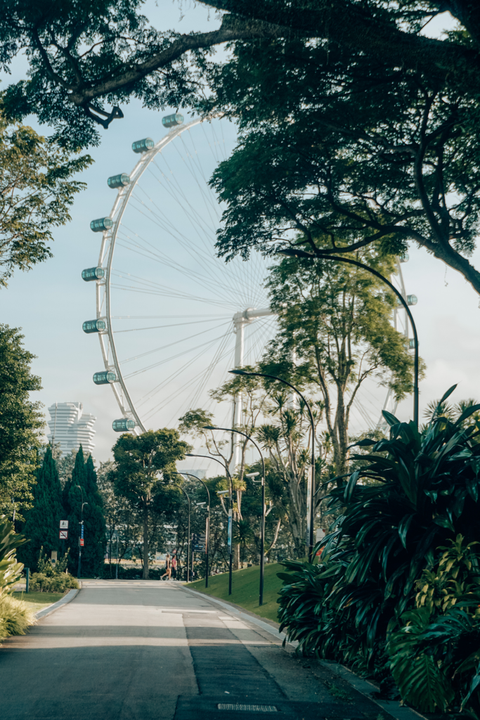 Singapore flyer