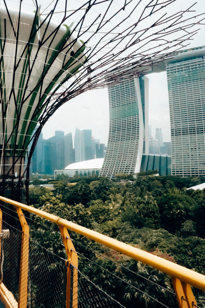 supertrees singapore