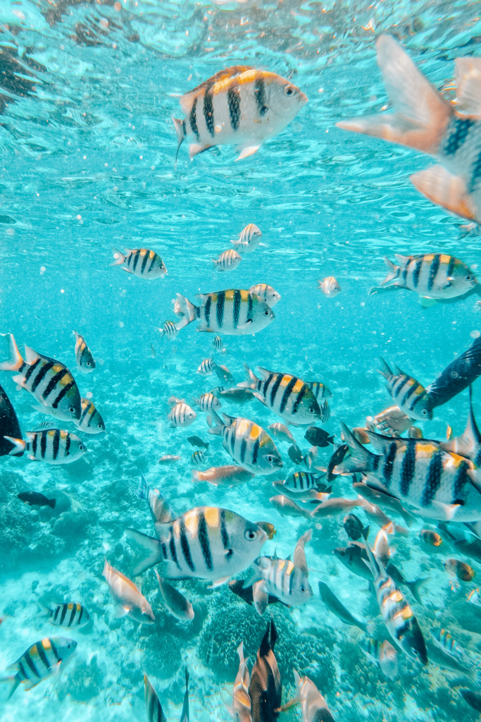 snorkelen gili meno