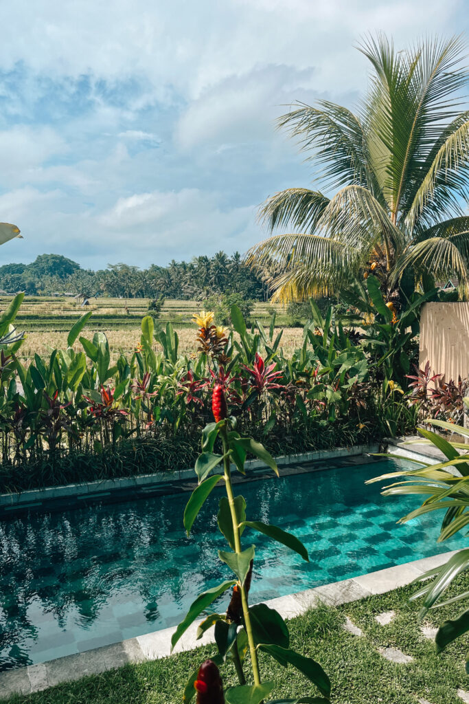wat te doen Ubud Bali