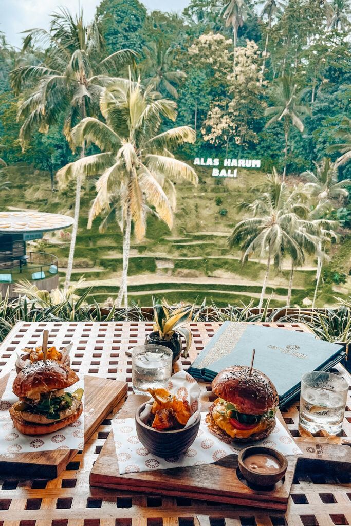 wat te doen in Ubud