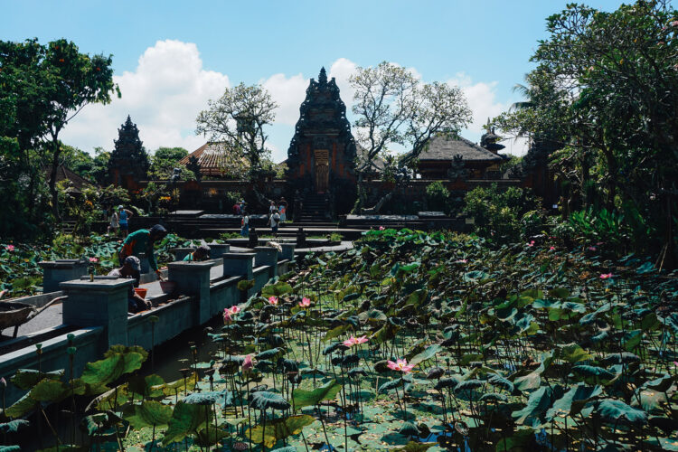 wat te doen in Ubud op Bali