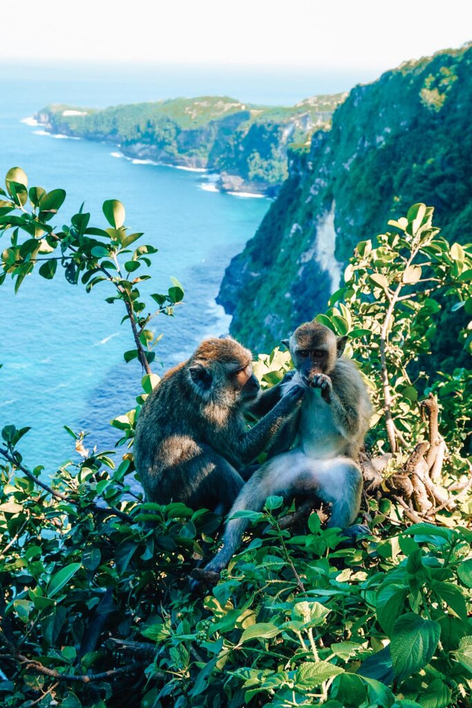 bali route twee weken