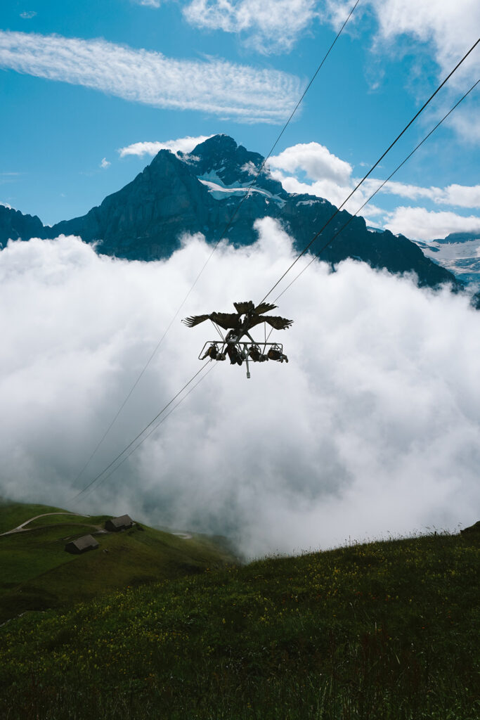 First glider - Grindelwald first