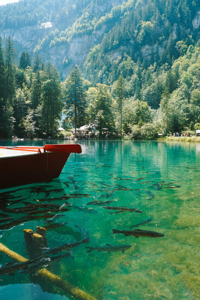 Mooiste plekjes Zwitserland - Blausee